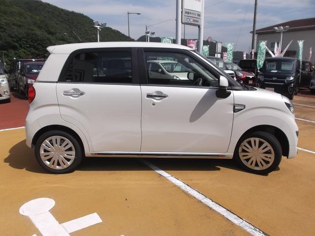 スタイルX リミテッド SAIII(4枚目)