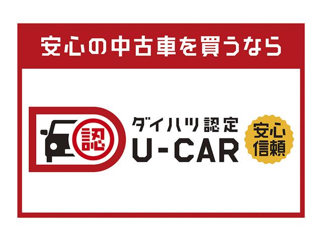 スタイルX リミテッド SAIII(21枚目)