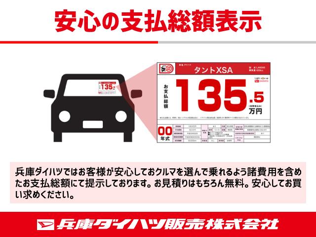 スタイルX リミテッド SAIII(29枚目)