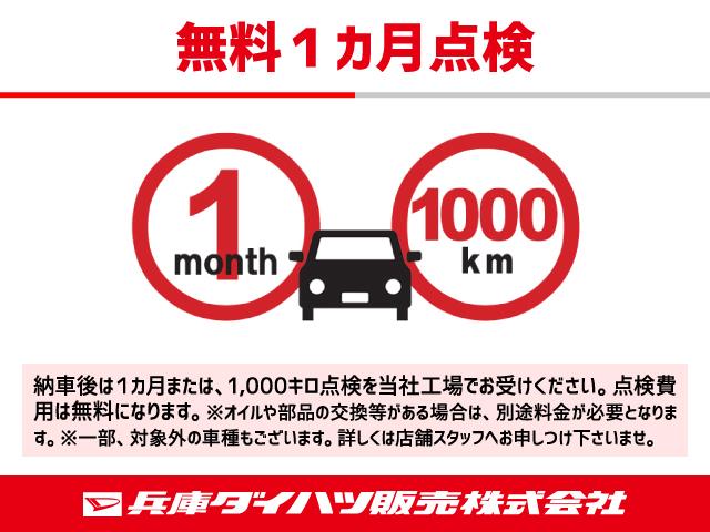 スタイルX リミテッド SAIII(30枚目)