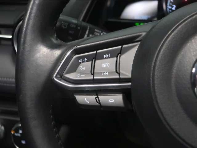 ＣＸ－３ ２．０　２０Ｓ　プロアクティブ　Ｓパッケージ（18枚目）