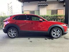 �ܥǥ����饤��ˤ������Τ���ޥĥ��Ǥ��� 4