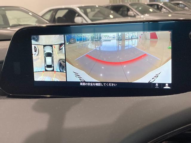 20S Lパッケージ ワンオーナー 純正ナビ 360セーフティーPKG 黒革シート ACC オートエグゼフロントスポイラー 柿本マフラー ダウンサス 前後ドラレコ ETC(9枚目)