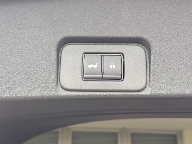 エクストレイル Ｇ　ｅ－４ＯＲＣＥ　登録済未使用車　サンルーフ　ＢＯＳＥ　ナッパレザ　ルーフレール　アダクティブＬＥＤヘッドライト　ＮＣナビ　フルセグＴＶ　ＥＴＣ２．０　プロパイロット　アラウンドビュー　シートヒータ　電動シート（30枚目）