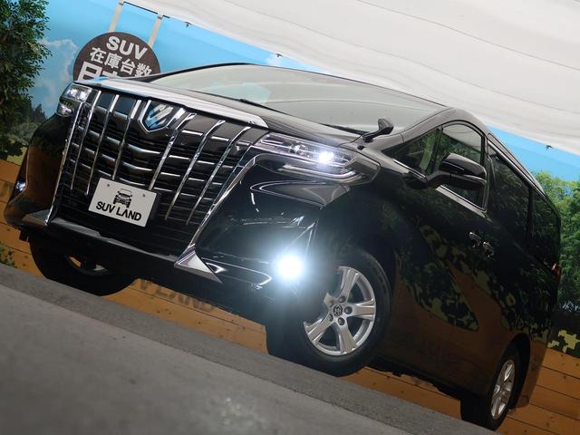 2.5X 登録済未使用車 ディスプレイオーディオ サンルーフ 両側電動ドア バックカメラ コーナーセンサー レーダークルーズ 衝突軽減システム LEDヘッド 純正AW(17枚目)