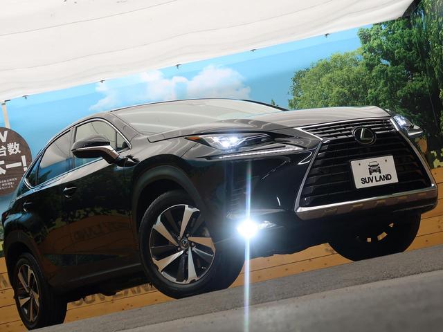 NX300 Iパッケージ 禁煙車 サンルーフ メーカーナビ パノラミックビューモニター レーダークルーズコントロール 三眼LEDヘッドライト クリアランスソナー 前席パワーシート 前席シートヒーター 電動リアゲート(19枚目)