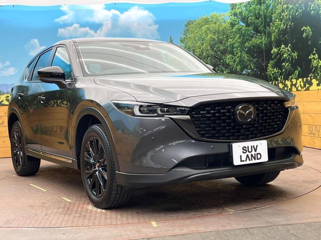 ＣＸ－５ ２０Ｓ　ブラックトーンエディション　禁煙車　マツダコネクトナビ　全周囲カメラ　Ｂｌｕｅｔｏｏｔｈ再生　レーダークルーズコントロール　ＥＴＣ２．０　ＬＥＤヘッドライト　電動リアゲート　パワーシート　シートヒーター　ハーフレザーシート（17枚目）