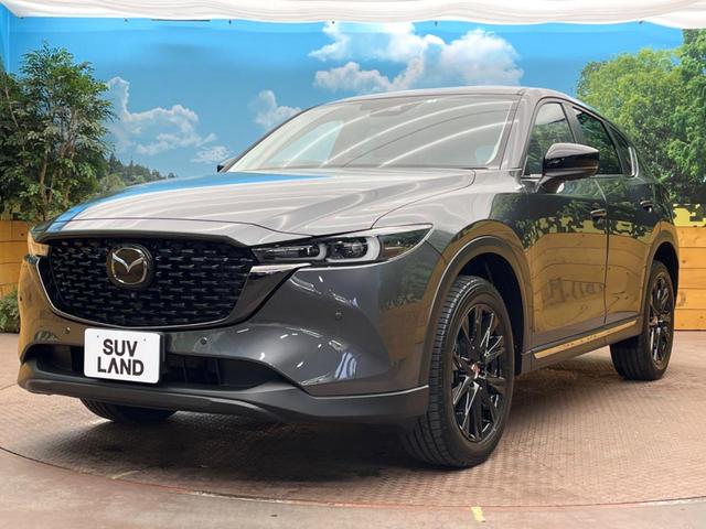 ＣＸ－５ ２０Ｓ　ブラックトーンエディション　禁煙車　マツダコネクトナビ　全周囲カメラ　Ｂｌｕｅｔｏｏｔｈ再生　レーダークルーズコントロール　ＥＴＣ２．０　ＬＥＤヘッドライト　電動リアゲート　パワーシート　シートヒーター　ハーフレザーシート（26枚目）