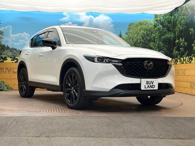 ＣＸ－５ ２０Ｓ　ブラックトーンエディション　純正１０．２５型ナビ　全周囲カメラ　衝突被害軽減システム　レーダークルーズ　パワーシート　クリアランスソナー　ＬＥＤヘッド　レーンアシスト　ブラインドスポットモニター　１９インチアルミホイール（16枚目）