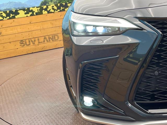 ＮＸ ＮＸ３５０ｈ　Ｆスポーツ　サンルーフ　純正１４型ナビ　全周囲カメラ　電動リアゲート　メモリーシート　３眼ＬＥＤヘッドライト　シートベンチレーション　ステアリングヒーター　レーダークルーズ　オートマチックハイビーム　禁煙車（12枚目）