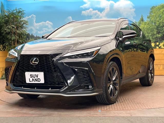 ＮＸ ＮＸ３５０ｈ　Ｆスポーツ　サンルーフ　純正１４型ナビ　全周囲カメラ　電動リアゲート　メモリーシート　３眼ＬＥＤヘッドライト　シートベンチレーション　ステアリングヒーター　レーダークルーズ　オートマチックハイビーム　禁煙車（31枚目）
