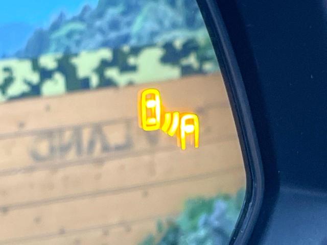 アルファード 2.5S Cパッケージ 両側電動ドア 純正9インチナビ デジタルインナー バックカメラ トヨタセーフティセンス レーダークルーズ 電動リアゲート レザーシート シートベンチレーション ドラレコ LEDヘッド ETC(66枚目)