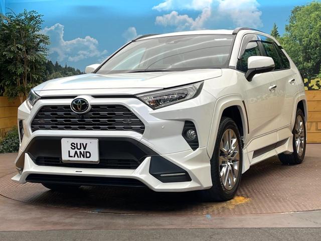 ＲＡＶ４ Ｇ　Ｚパッケージ　ＴＲＤエアロ　純正９型ディスプレイ　トヨタセーフティセンス　全周囲カメラ　デジタルインナーミラー　ブラインドスポットモニター　電動リアゲート　メモリーシート　ドラレコ　コーナーセンサー　シートヒーター（30枚目）