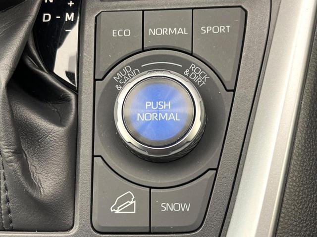 ＲＡＶ４ Ｇ　Ｚパッケージ　ＴＲＤエアロ　純正９型ディスプレイ　トヨタセーフティセンス　全周囲カメラ　デジタルインナーミラー　ブラインドスポットモニター　電動リアゲート　メモリーシート　ドラレコ　コーナーセンサー　シートヒーター（64枚目）