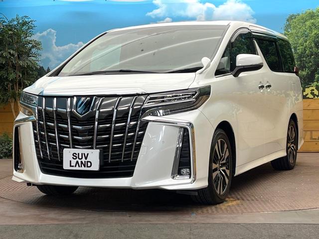 アルファード ２．５Ｓ　Ｃパッケージ　サンルーフ　ＢＩＧ－Ｘ１１インチナビ　後席モニター　レーダークルーズコントロール　両側電動スライド　シートベンチレーション　パワーバックドア　クリアランスソナー　ＬＥＤヘッドライト　メモリーシート（28枚目）