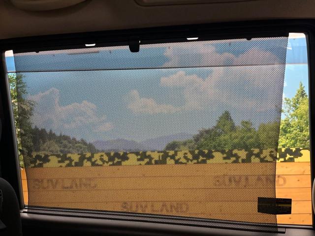 セレナ ハイウェイスター S-ハイブリッド 両側電動ドア 純正SDナビ 後席モニター バックカメラ 前後ドラレコ スマートキー ETC クルコン オートライト オートエアコン 純正16インチアルミ Bluetooth CD/DVD(39枚目)