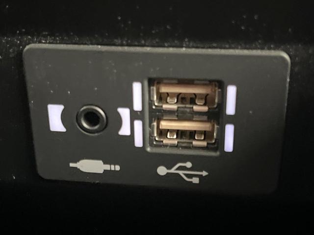 UX UX250h バージョンL 12.3型ナビ 全周囲カメラ プリクラッシュセーフティ レーダークルーズ シートベンチレーション パワーバックドア メモリー機能付きパワーシート ブラインドスポットモニター 革シート LEDヘッド(63枚目)