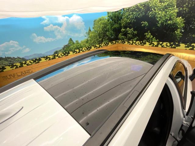 カローラクロス ハイブリッド　Ｚ　パノラマルーフ　１０．５型ナビ　全周囲カメラ　トヨタセーフティセンス　レーダクルーズ　ブラインドスポットモニター　パワーバックドア　パワーシート　シートヒーター　ＬＥＤヘッドライト　オートハイビーム（39枚目）