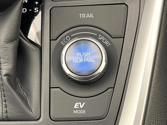 ＲＡＶ４ ハイブリッドアドベンチャー　オフロードパッケージＩＩ　登録済未使用車　純正１０．５型ナビ　レーダークルーズ　トヨタセーフティセンス　ブラインドスポットモニター　シートベンチレーション　バックカメラ　メモリーシート　デュアルオートエアコン（58枚目）