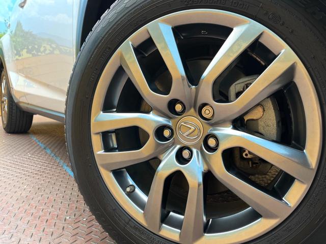 ＮＸ ＮＸ３００ｈ　バージョンＬ　純正ＳＤナビ　プリクラッシュセーフティ　シートベンチレーション　パワーバックドア　メモリー機能付きパワーシート　本革シート　三眼ＬＥＤヘッド　バックカメラ　ドラレコ　ＥＴＣ　クルーズコントロール（13枚目）