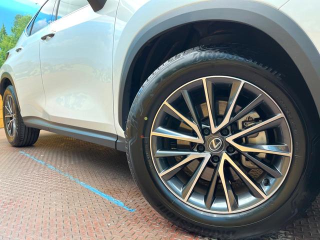 ＮＸ ＮＸ２５０　バージョンＬ　１４型純正ディスプレイオーディオ　全周囲カメラ　ＢＳＭ　レーダークルーズ　セーフティシステム　ブラウンレザーシート　シートベンチレーション　メモリーシート　電動リアゲート　ＥＴＣ２．０　禁煙車（28枚目）