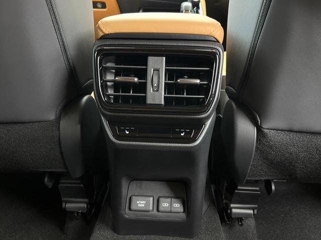 ＮＸ ＮＸ２５０　バージョンＬ　１４型純正ディスプレイオーディオ　全周囲カメラ　ＢＳＭ　レーダークルーズ　セーフティシステム　ブラウンレザーシート　シートベンチレーション　メモリーシート　電動リアゲート　ＥＴＣ２．０　禁煙車（44枚目）