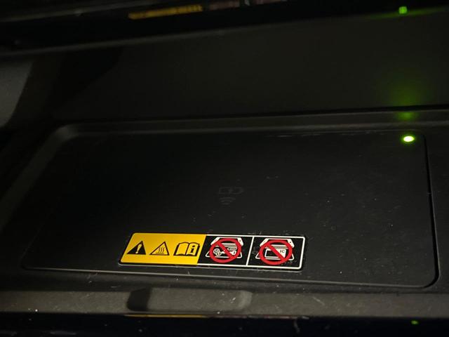 アルファード Ｚ　黒革シート　全周囲カメラ　ガラスルーフ　両側電動ドア　純正１４インチナビ　後席モニター　１００Ｖ電源　セーフティセンス　レーダークルーズ　電動リアゲート　前席シートエアコン　リアシートエアコン（37枚目）