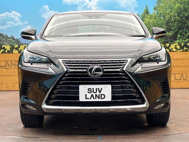 ＮＸ ＮＸ３００　Ｉパッケージ　１０．３型純正ナビ　バックカメラ　レクサスセーフティシステム　ＢＳＭ　レーダークルーズ　禁煙車　電動リアゲート　レザーシート　メモリーシート　前席ヒートヒーター　ドラレコ　ＬＥＤヘッド　ＥＴＣ２．０（18枚目）