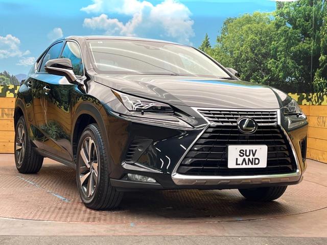 ＮＸ ＮＸ３００　Ｉパッケージ　１０．３型純正ナビ　バックカメラ　レクサスセーフティシステム　ＢＳＭ　レーダークルーズ　禁煙車　電動リアゲート　レザーシート　メモリーシート　前席ヒートヒーター　ドラレコ　ＬＥＤヘッド　ＥＴＣ２．０（20枚目）