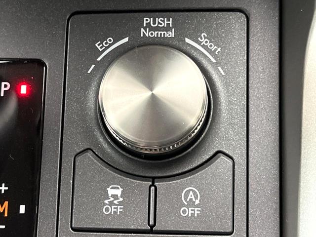 ＮＸ ＮＸ３００　Ｉパッケージ　１０．３型純正ナビ　バックカメラ　レクサスセーフティシステム　ＢＳＭ　レーダークルーズ　禁煙車　電動リアゲート　レザーシート　メモリーシート　前席ヒートヒーター　ドラレコ　ＬＥＤヘッド　ＥＴＣ２．０（61枚目）