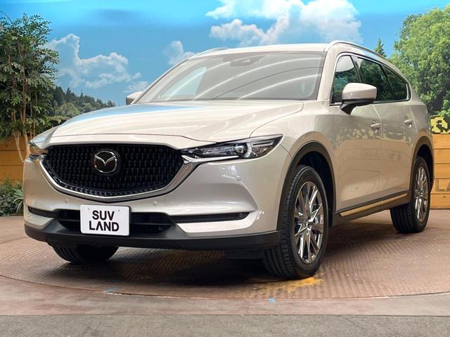 ＣＸ－８ ２５Ｓ　Ｌパッケージ　１０型純正ナビ　全周囲カメラ　ＢＯＳＥサウンドシステム　赤革シート　アダプティブクルーズコントロール　スマートブレーキサポート　シートベンチレーション　パワーバックドア　コーナーセンサー　パワーシート（30枚目）