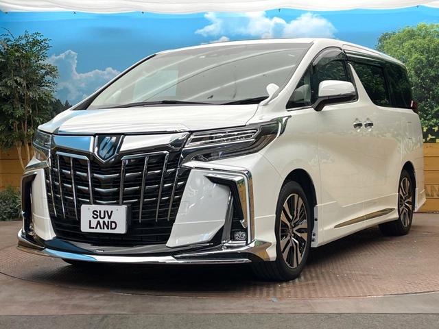 アルファード ２．５Ｓ　Ｃパッケージ　サンルーフ　ＢＩＧ－Ｘ１１型ナビ　１２．８型フリップダウン　モデリスタ　両側電動スライドドア　トヨタセーフティセンス　黒皮調シート　レーダークルーズ　バックカメラ　ＡＣ１００Ｖ電源　シートヒーター（23枚目）