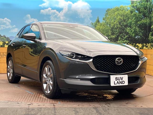 ＣＸ－３０ ２０Ｓ　Ｌパッケージ　８．８インチマツダコネクトナビ　バックカメラ　スマートブレーキサポート　禁煙車　レーダークルーズ　メモリー機能付きパワーシート　ドライブレコーダー　ＥＴＣ　フルセグ　Ｂｌｕｅｔｏｏｔｈ（16枚目）