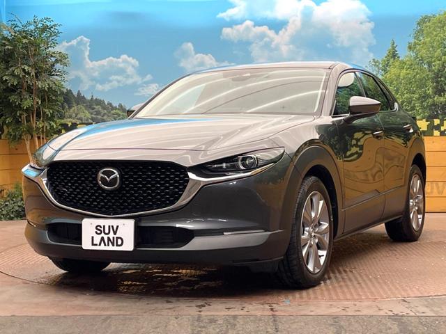 ＣＸ－３０ ２０Ｓ　Ｌパッケージ　８．８インチマツダコネクトナビ　バックカメラ　スマートブレーキサポート　禁煙車　レーダークルーズ　メモリー機能付きパワーシート　ドライブレコーダー　ＥＴＣ　フルセグ　Ｂｌｕｅｔｏｏｔｈ（27枚目）