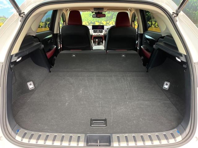 ＮＸ ＮＸ３００ｈ　Ｉパッケージ　セーフティシステムプラス　禁煙車　１０．３インチナビ　バックカメラ　赤革シート　シートヒーター　三眼ＬＥＤヘッドライト　レーダークルーズ　アクセサリーコンセント　パワーバックドア　フルセグ（10枚目）