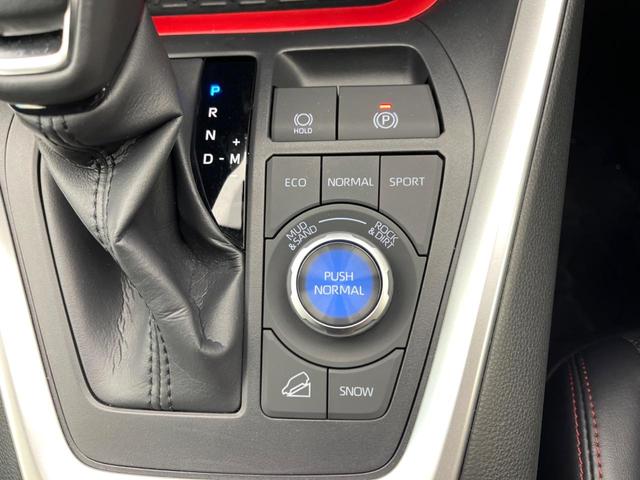 RAV4 アドベンチャー オフロードパッケージII 純正10.5インチディスプレイオーディオ デジタルインナーミラー パノラミックビューモニター ブラインドスポットモニター 禁煙車 レーダークルーズ シートベンチレーション パワーシート(61枚目)