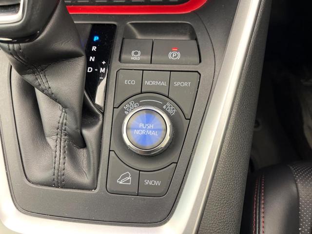 ＲＡＶ４ アドベンチャー　オフロードパッケージＩＩ　純正１０．５インチディスプレイオーディオ　禁煙車　セーフティセンス　デジタルインナーミラー　ブラインドスポットモニター　パワーバックドア　レーダークルーズ　ＬＥＤヘッドライト　シートベンチレーション（58枚目）