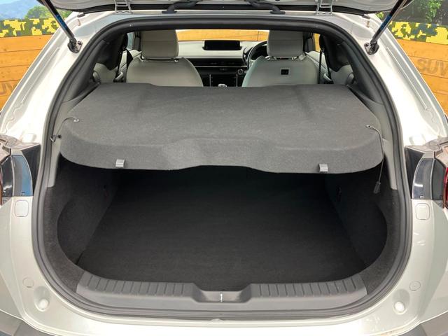 ��Ȃ��i�[����ƁA���ꂾ���̍L�����I�V�[���ɍ��킹���V�[�g�A�����W�ŁA�傫�ȉו����ςނ��Ƃ��o���܂���