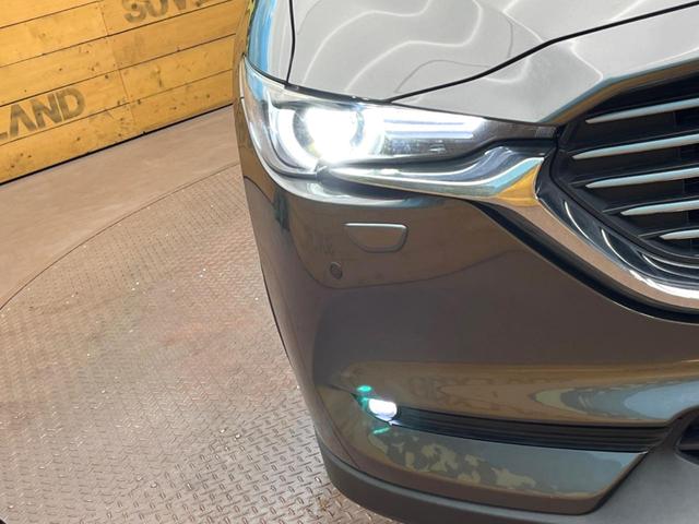 �y�k�d�c�w�b�h���C�g�z���V����ԑ��s�����ǍD�Ȏ��E���m�ۂ����S���ĉ^�]�ł��鍂�P�x�k�d�c�w�b�h���C�g�𑕔��I�_�����x�������A����d�͂��}�����Ă��܂��B