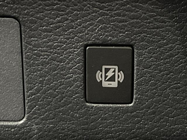 セレナ ハイウェイスターＶ　純正１２．３型ナビ　ツートーンカラー　両側電動ドア　プロパイロット　全周囲カメラ　デジタルインナーミラー　後側方車両検知警報　ワイヤレス充電　ＨＤＭＩ　ＬＥＤヘッドライト／フロントフォグ　ＥＴＣ２．０（65枚目）