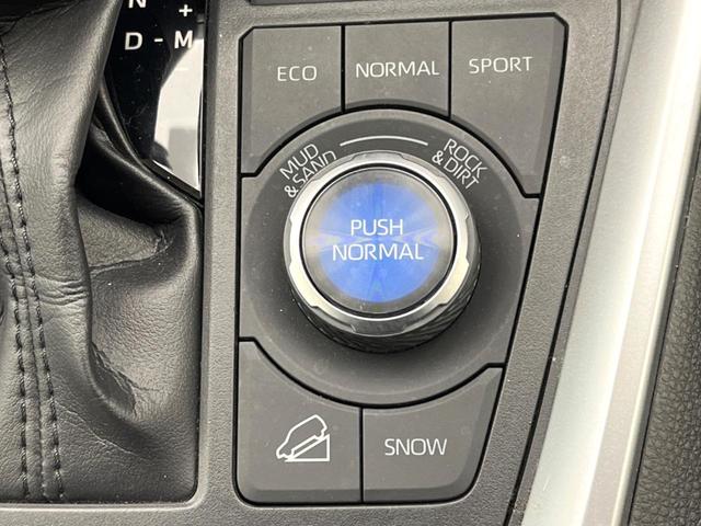 ＲＡＶ４ アドベンチャー　オフロードパッケージ　ＴＲＤエアロ　純正９型ナビ　全周囲カメラ　デジタルインナーミラー　ブラインドスポットモニター　トヨタセーフティセンス　レーダークルーズ　ＬＥＤヘッドライト　合皮シート　オートマチックハイビーム（68枚目）