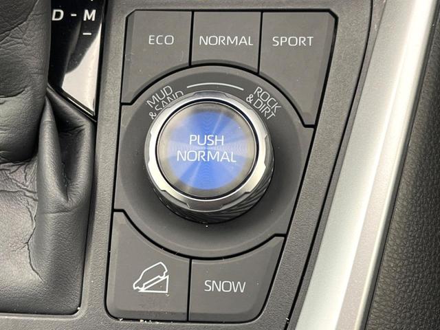 ＲＡＶ４ アドベンチャー　オフロードパッケージＩＩ　純正９型ナビ　全周囲カメラ　トヨタセーフティセンス　デジタルインナーミラー　ブラインドスポットモニター　シートベンチレーション　合皮シート　ＬＥＤヘッドライト　前席パワーシート　シートメモリー（62枚目）