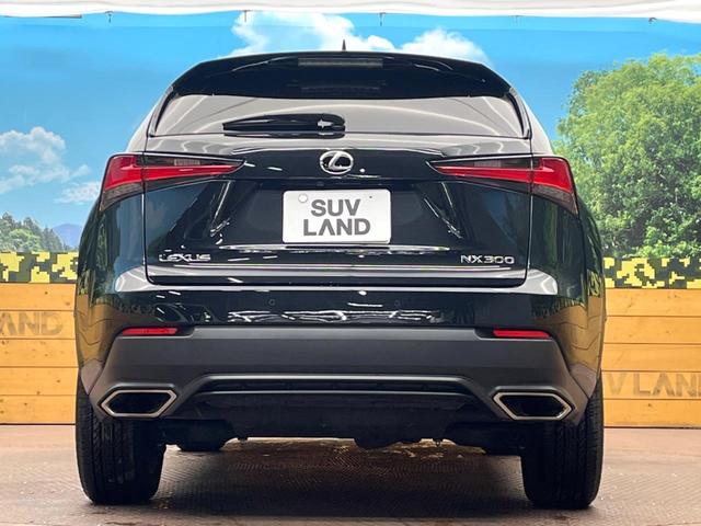 ＮＸ ＮＸ３００　Ｉパッケージ　１０．３インチナビ　１８インチアルミホイール　セーフティシステムプラス　禁煙車　レーダークルーズ　三眼ＬＥＤヘッドライト　バックカメラ　フルセグ　Ｂｌｕｅｔｏｏｔｈ　パワーバックドア　パワーシート（15枚目）