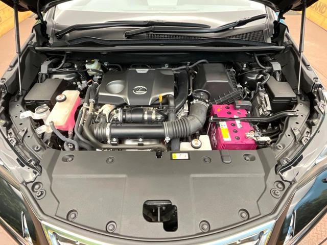 ＮＸ ＮＸ３００　Ｉパッケージ　１０．３インチナビ　１８インチアルミホイール　セーフティシステムプラス　禁煙車　レーダークルーズ　三眼ＬＥＤヘッドライト　バックカメラ　フルセグ　Ｂｌｕｅｔｏｏｔｈ　パワーバックドア　パワーシート（18枚目）