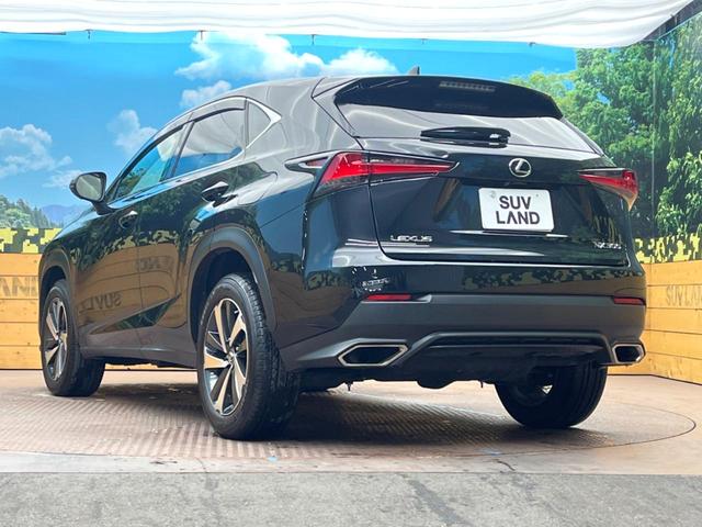 ＮＸ ＮＸ３００　Ｉパッケージ　１０．３インチナビ　１８インチアルミホイール　セーフティシステムプラス　禁煙車　レーダークルーズ　三眼ＬＥＤヘッドライト　バックカメラ　フルセグ　Ｂｌｕｅｔｏｏｔｈ　パワーバックドア　パワーシート（29枚目）