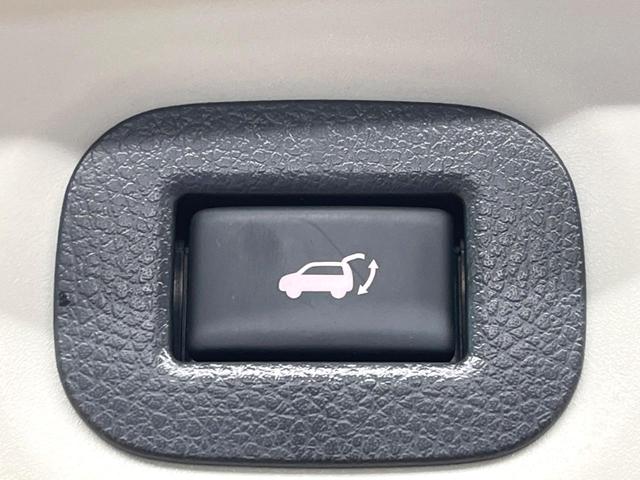 エクストレイル 20XtブラックエクストリーマXエマジェンシブレキP 純正SDナビ 全周囲カメラ デジタルミラー シートヒーター 電動リアゲート コーナーセンサー LEDヘッド ルーフレール ETC Bluetooth クルコン オートライト デュアルエアコン(35枚目)