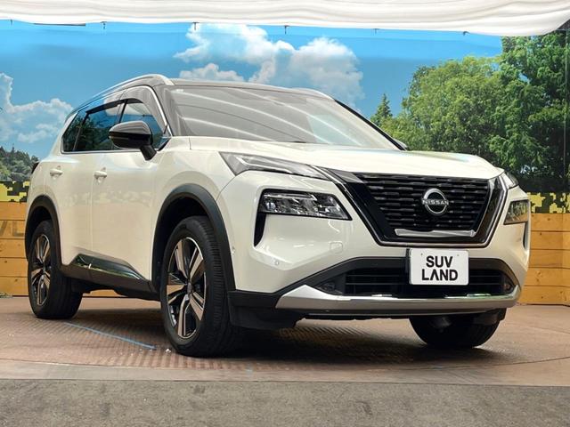 エクストレイル Ｇ　ｅ－４ＯＲＣＥ　ガラスルーフ　純正１２．３型ナビ　ツートーン　全周囲カメラ　ＢＯＳＥサウンド　電動リアゲート　シートヒーター　ブラインドスポットモニター　ドラレコ　コーナーセンサー　ＬＥＤヘッドライト　ルーフレール（16枚目）