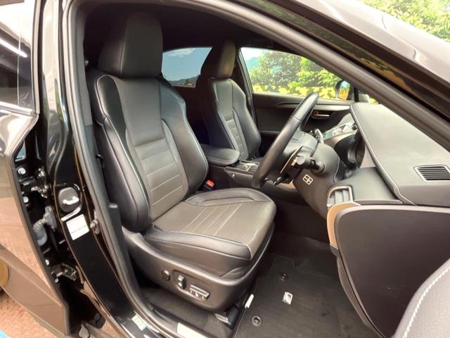 �y��p�X�|�[�c�V�[�g�z�z�[���h���ɗD��A�J�[�u���̑̂������}�����Ă���܂��B�܂��A�̂Ƀt�B�b�g���邩�獘��w�������ɂ����A�����O�h���C�u�⍂�����s�ł����K�ɂ��߂������������܂���