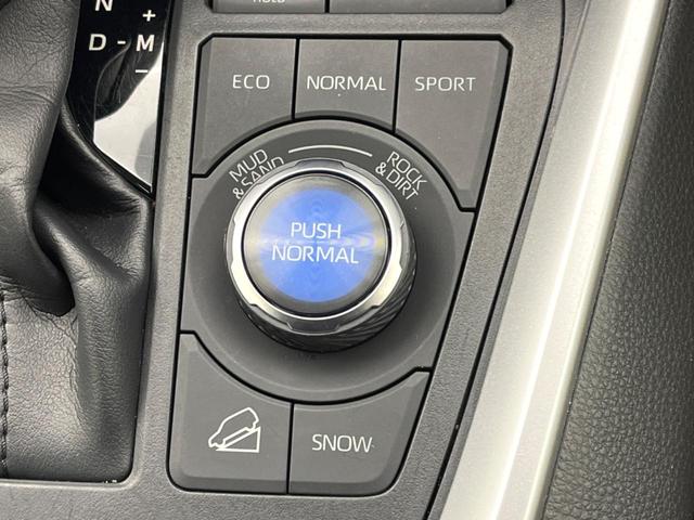 RAV4 G Zパッケージ パノラマルーフ モデリスタエアロ 純正9インチディスプレイオーディオ パノラミックビューモニター 禁煙車 デジタルインナーミラー ブラインドスポットモニター パワーバックドア シートヒーター(62枚目)