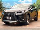 NX300h Fスポーツ サンルーフ 12.3型純正ナビ 全周囲カメラ レクサスセーフティシステム BSM レーダークルーズ 禁煙車 電動リアゲート レザーシート 前席シートベンチレーション LEDヘッド ETC2.0(35枚目)